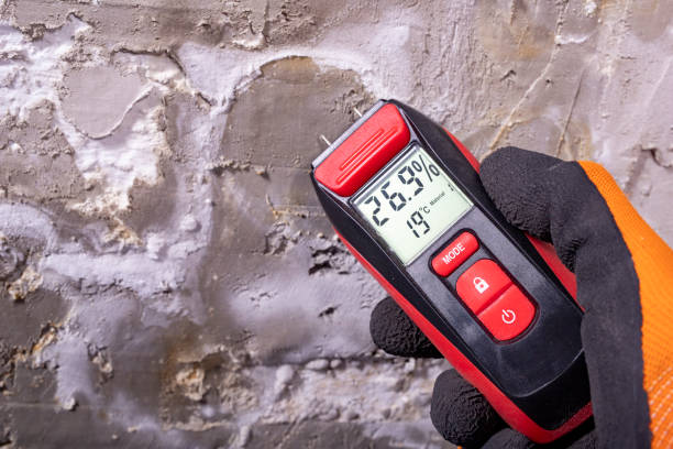 Best Emergency Mold Removal  in Port Arthur, TX