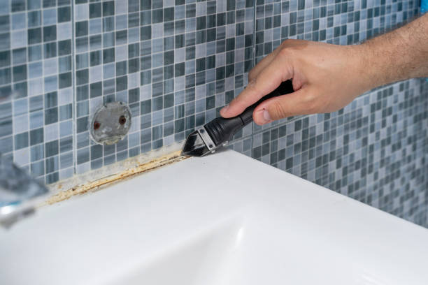 Port Arthur, TX Mold Removal Company