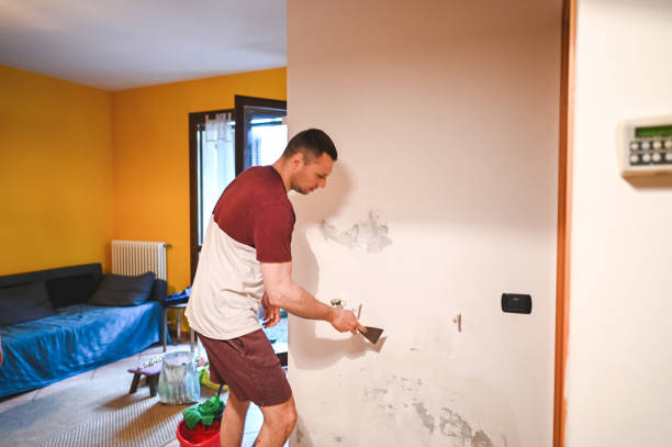 Best Mold Testing and Removal  in Port Arthur, TX