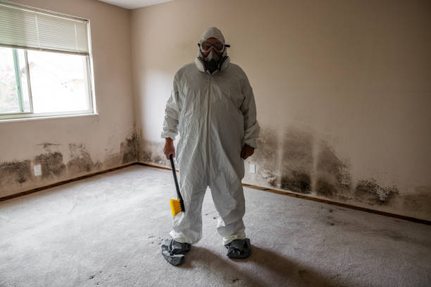 Best Residential Mold Removal  in Port Arthur, TX